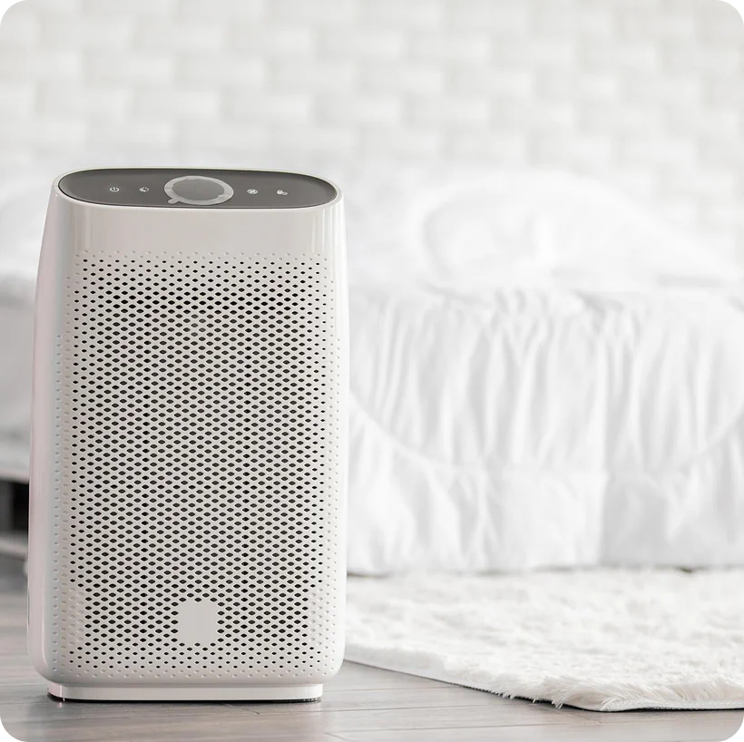 GreenLeaf Studio — Crafting a Sustainable Brand Identity Online