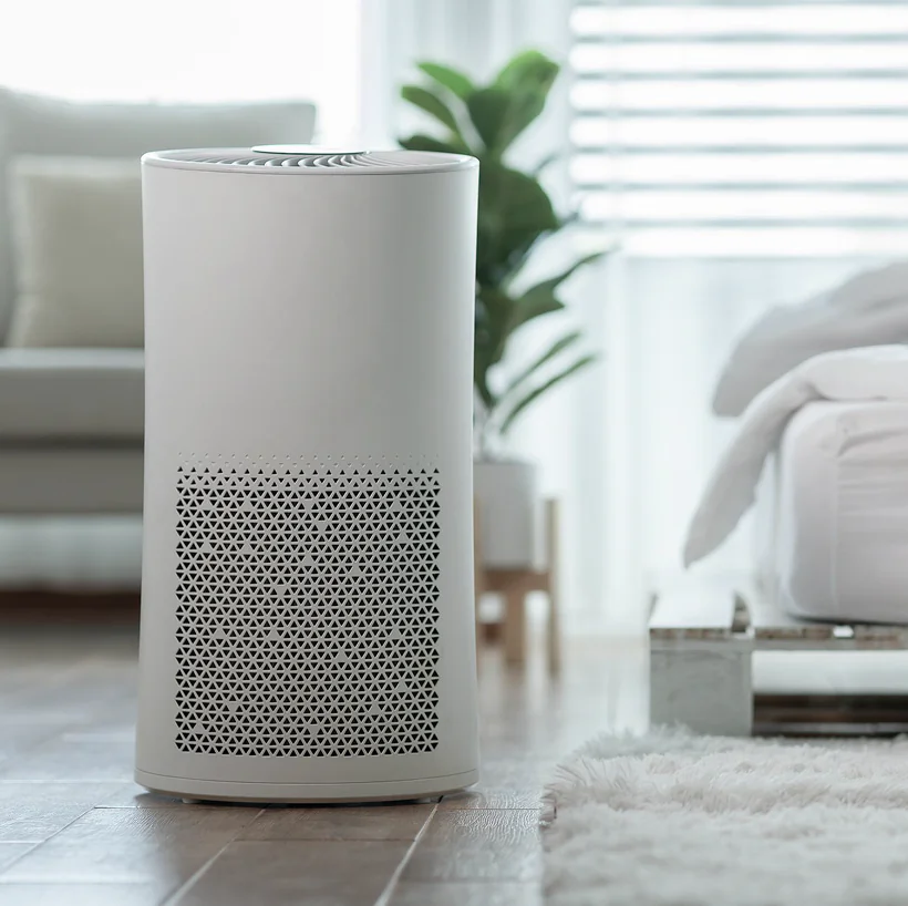 GreenLeaf Studio — Crafting a Sustainable Brand Identity Online