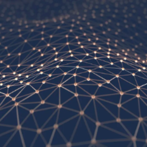 Understanding the Difference in Performance Between Binary Cross-Entropy and Categorical Cross-Entropy