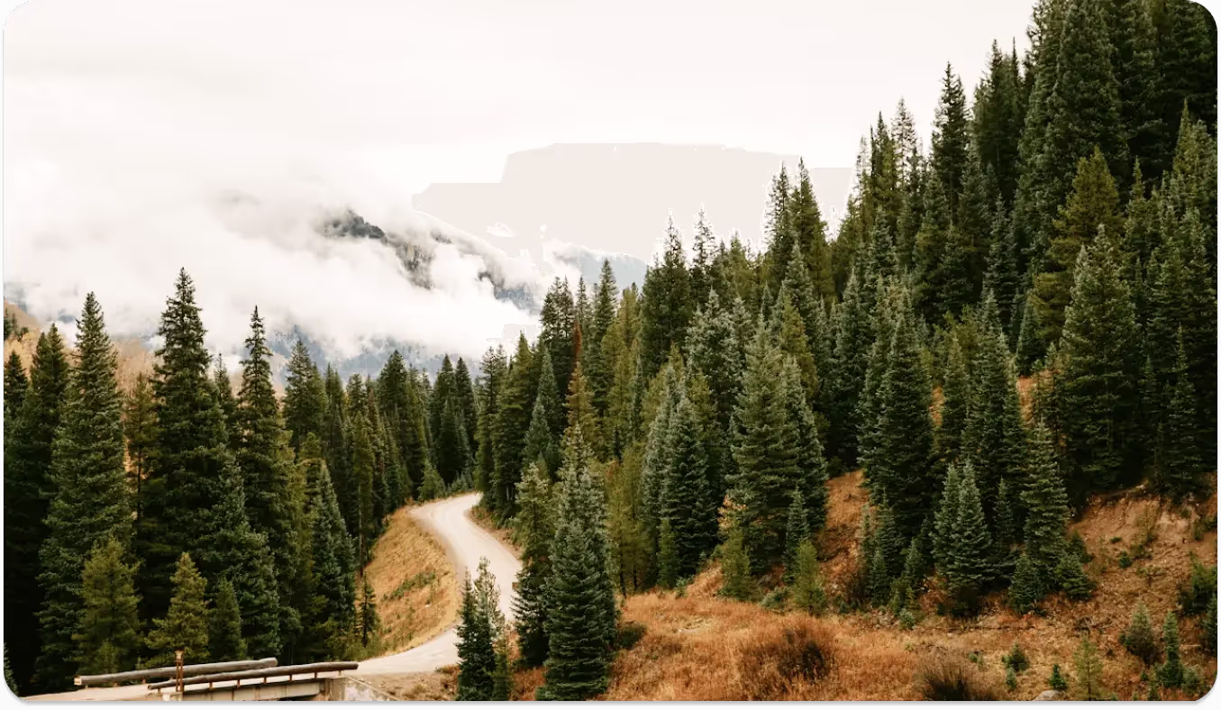 Harnessing AI to combat deforestation