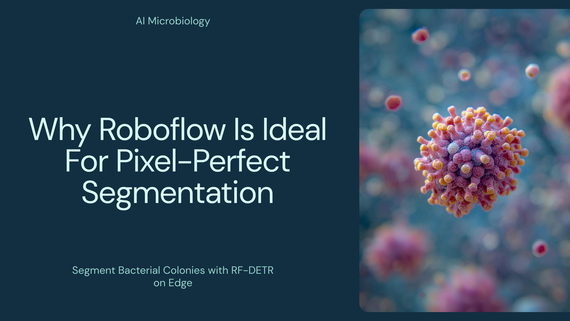 Why Roboflow Is Ideal For Pixel-Perfect Segmentation