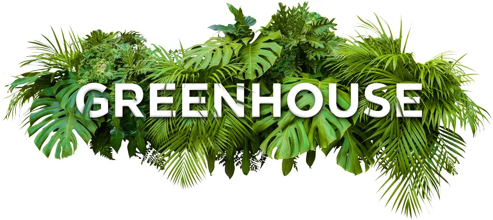 The word GREENHOUSE in white capital letters over a lush arrangement of green tropical leaves.