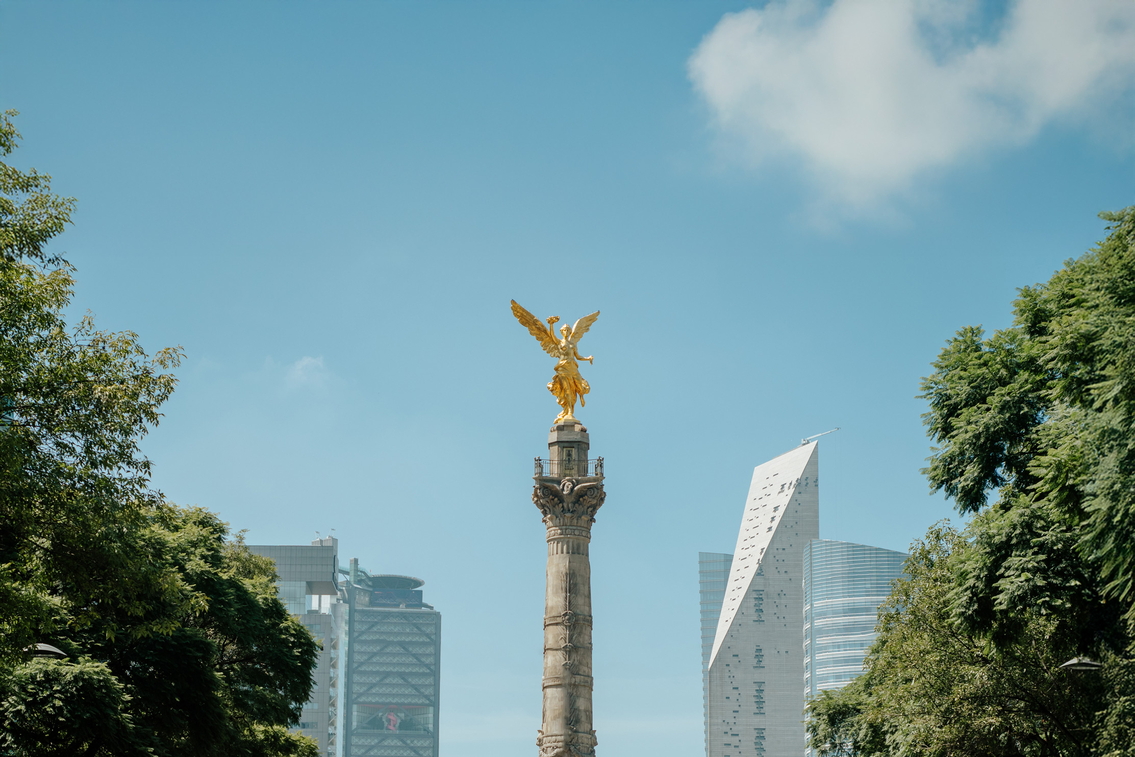 Golden Angel of Independence statue atop a tall column surrounded by trees and modern buildings under blue sky.