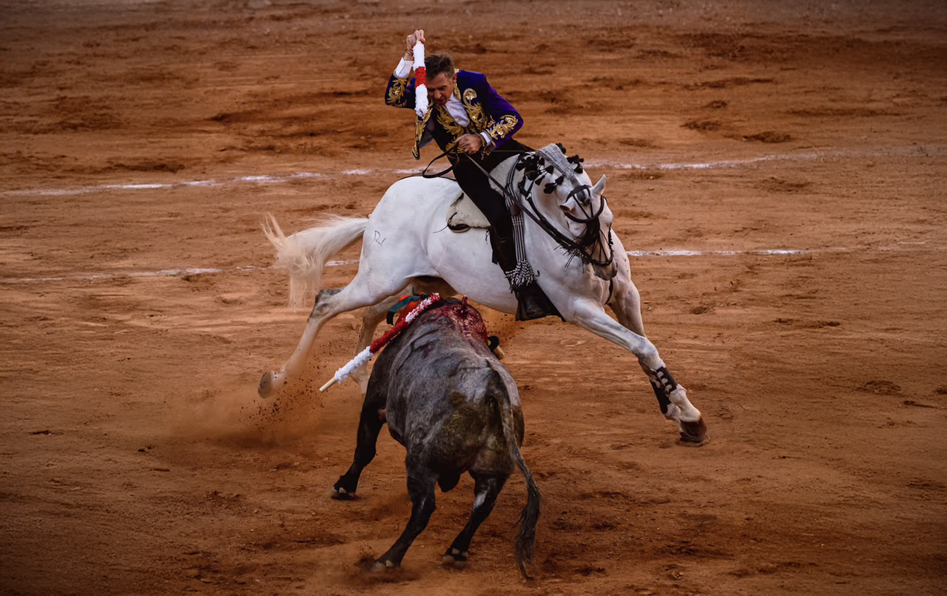 Gira Pablo Hermoso de Mendoza