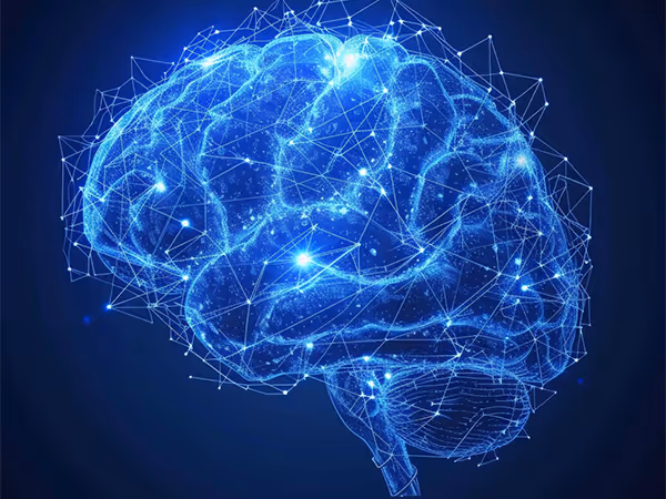 Brain with highlighted neurons 