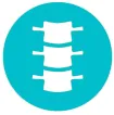 Intracept implant_free icon