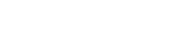 Blue Meridian Partners logo