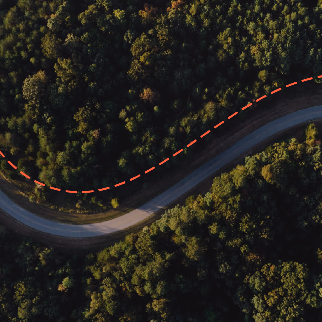 A winding road curves through a dense forest with green trees, and a red dashed line follows the curve of the road above it.