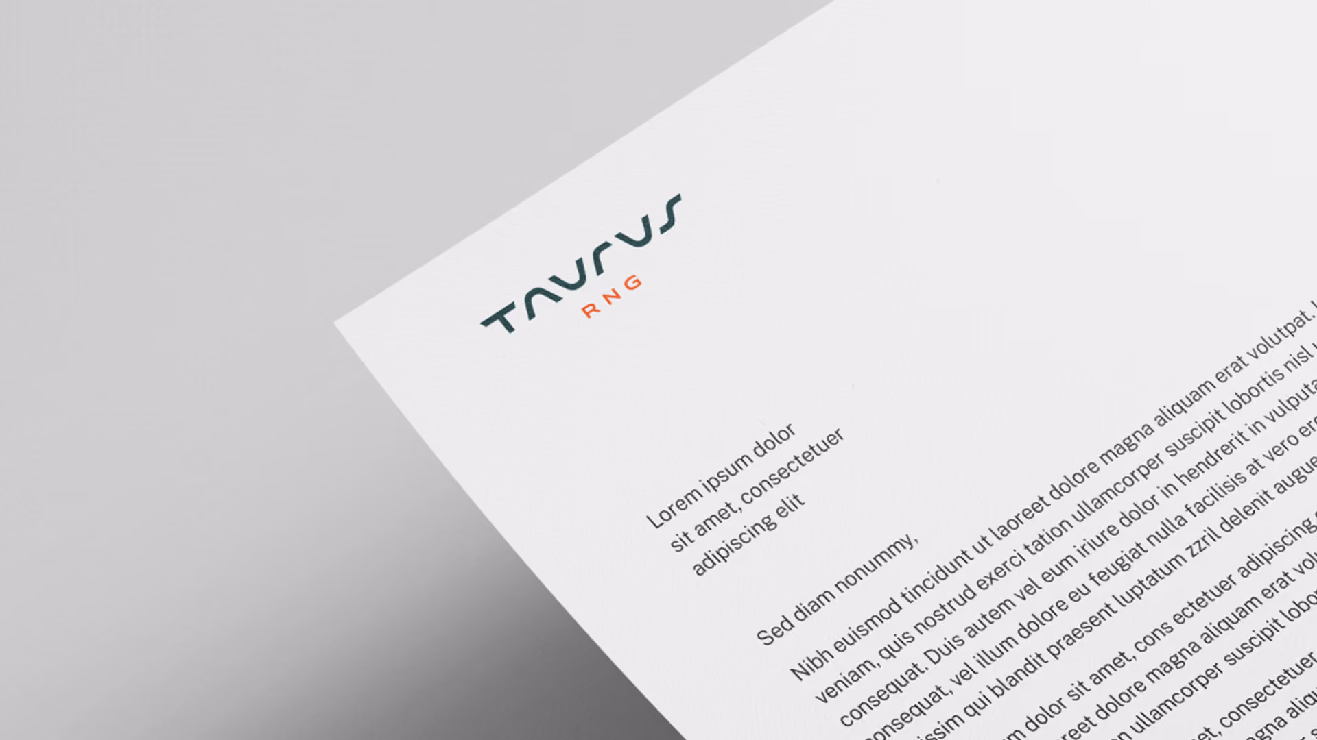Letterhead with a modern logo featuring the word 'TAURUS' and smaller red text 'RNG' above placeholder text on a white sheet against a gradient gray background.