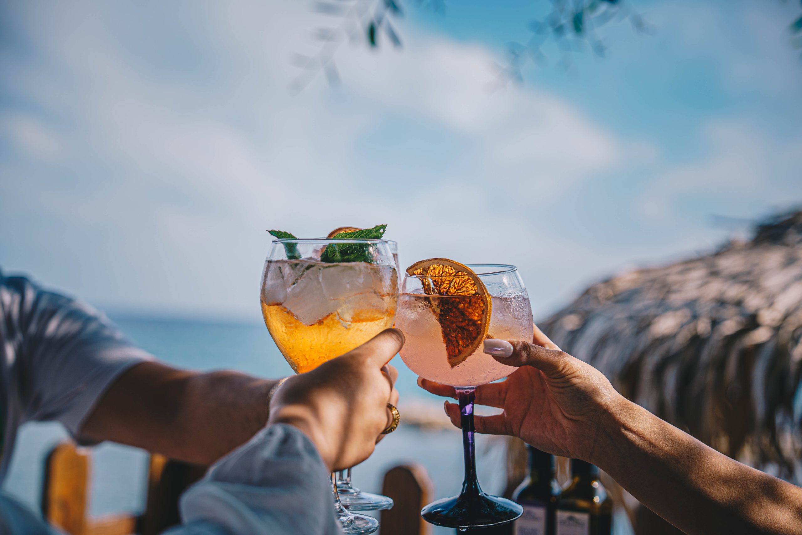 Skqutz logo with stylized tree and lettering.