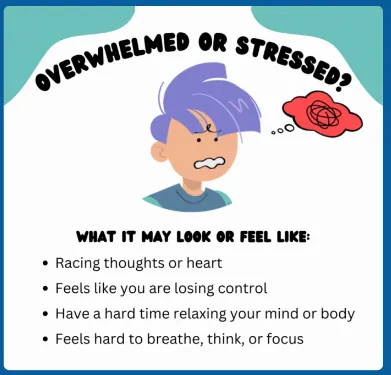 "Stress and overwhelm awareness graphic"