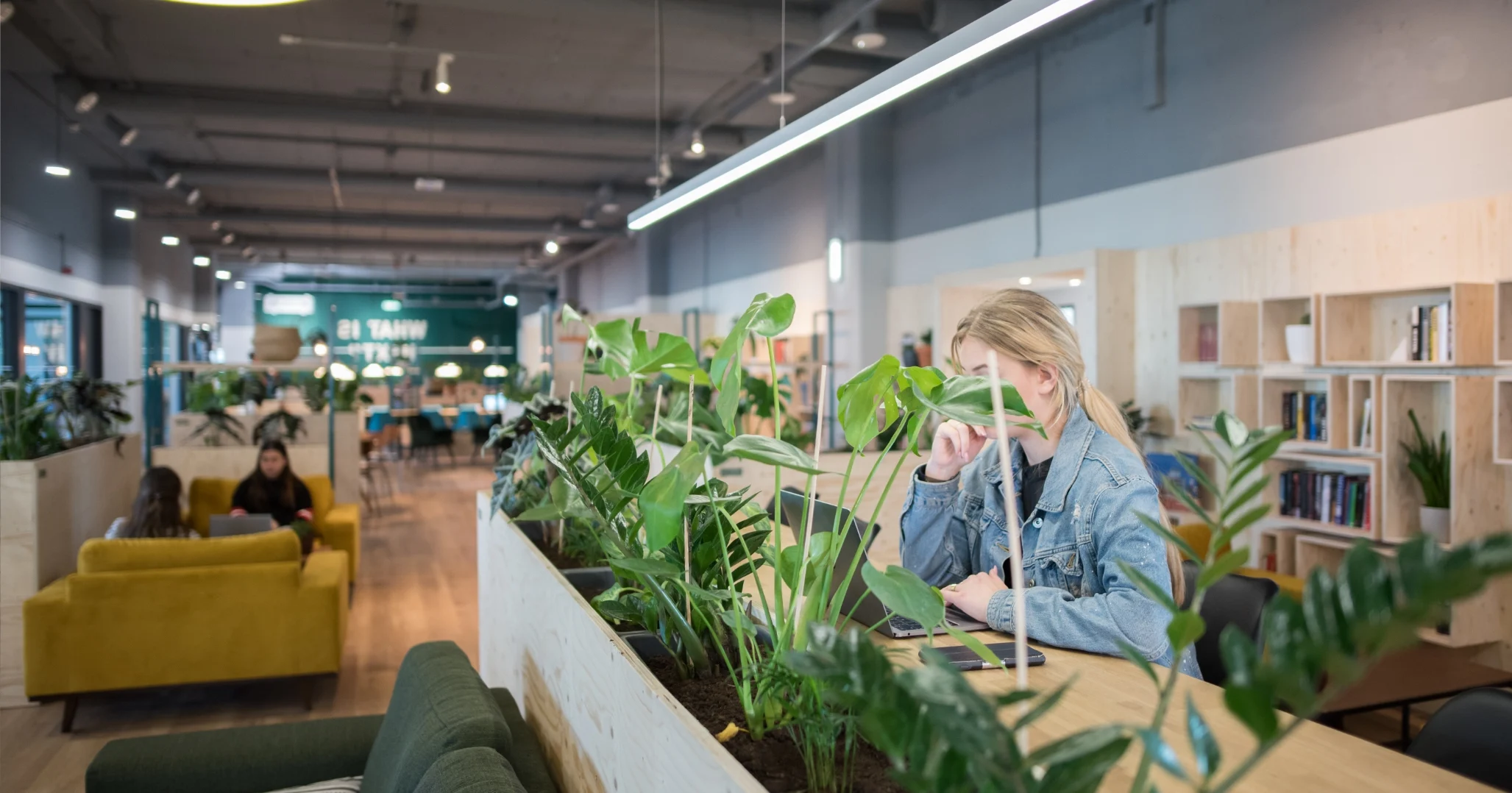 Bouw met hulp van onze ervaren webdesigners de website van jouw dromen