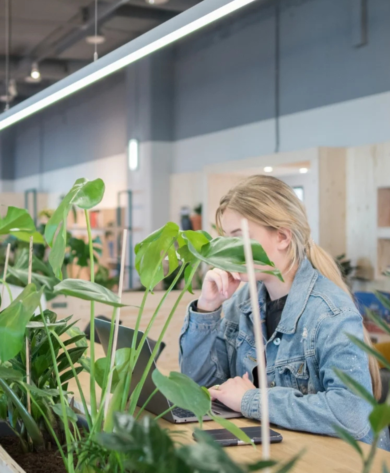 Bouw in alle rust jouw eigen website met hulp van Website Today