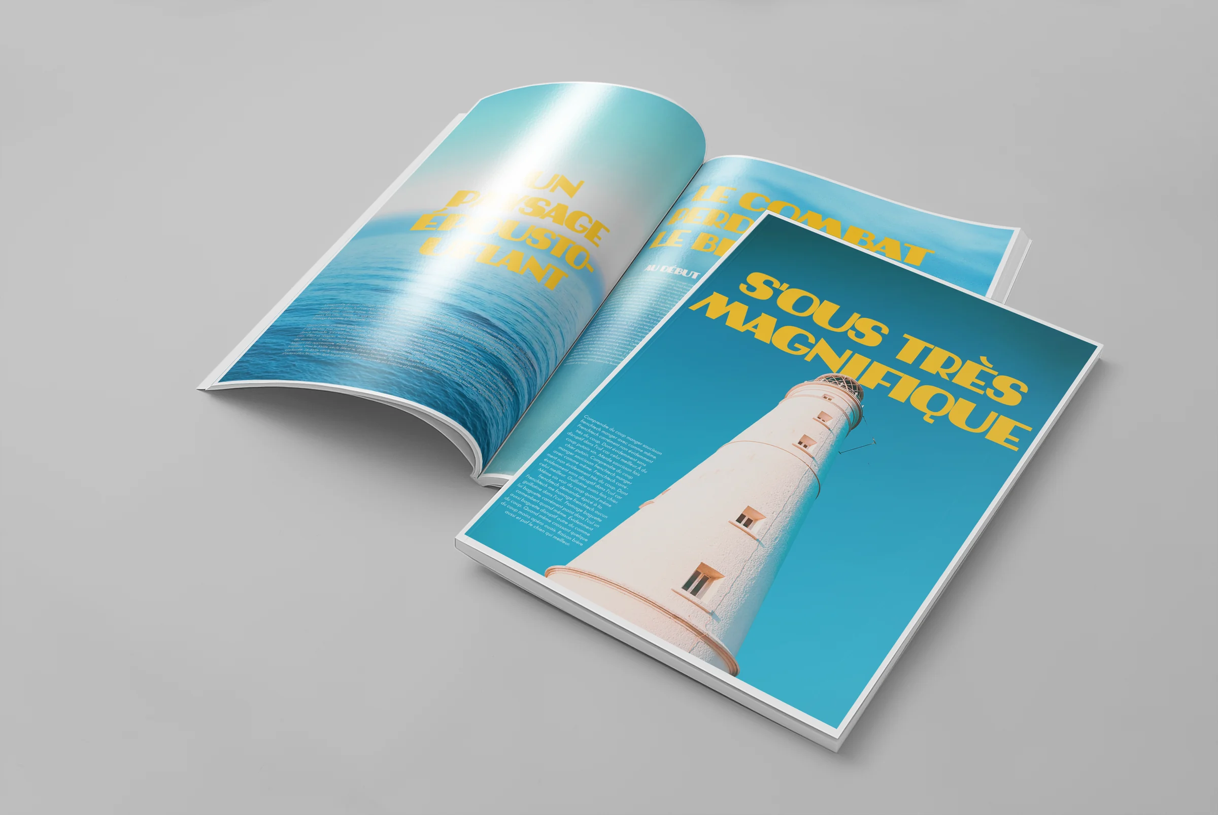Editorial project image 4 of 4