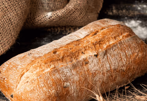 Ciabatta