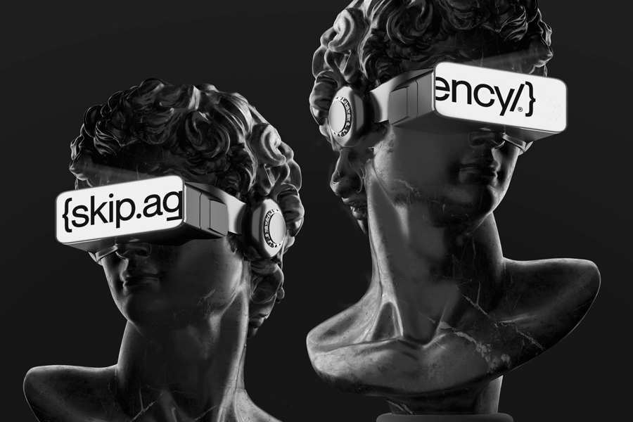 skip agency web development