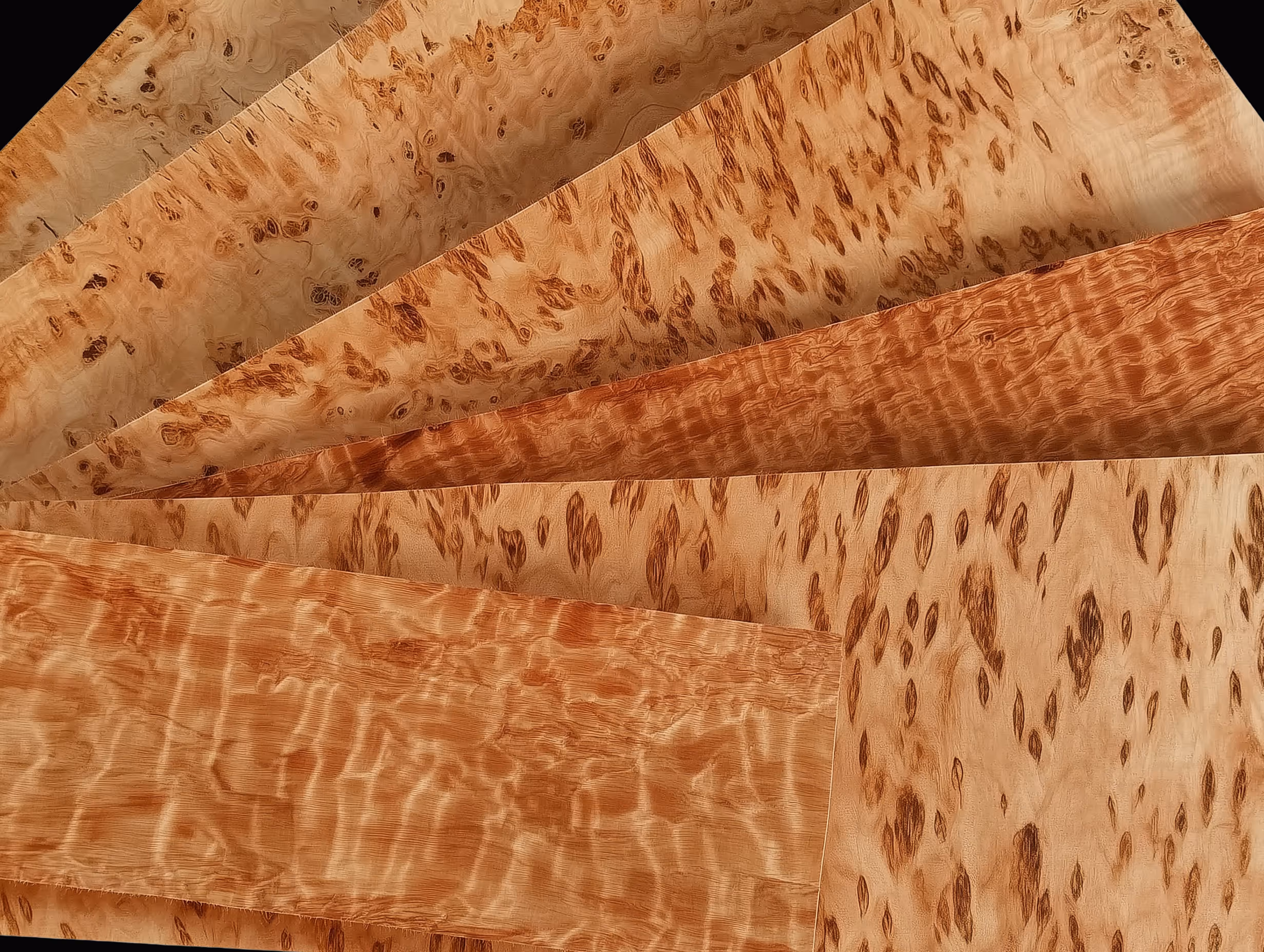 Birdseye Maple