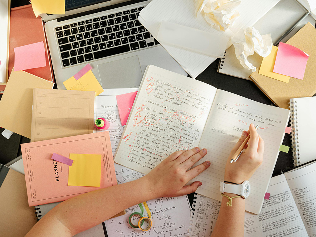 Student user bridge home page image