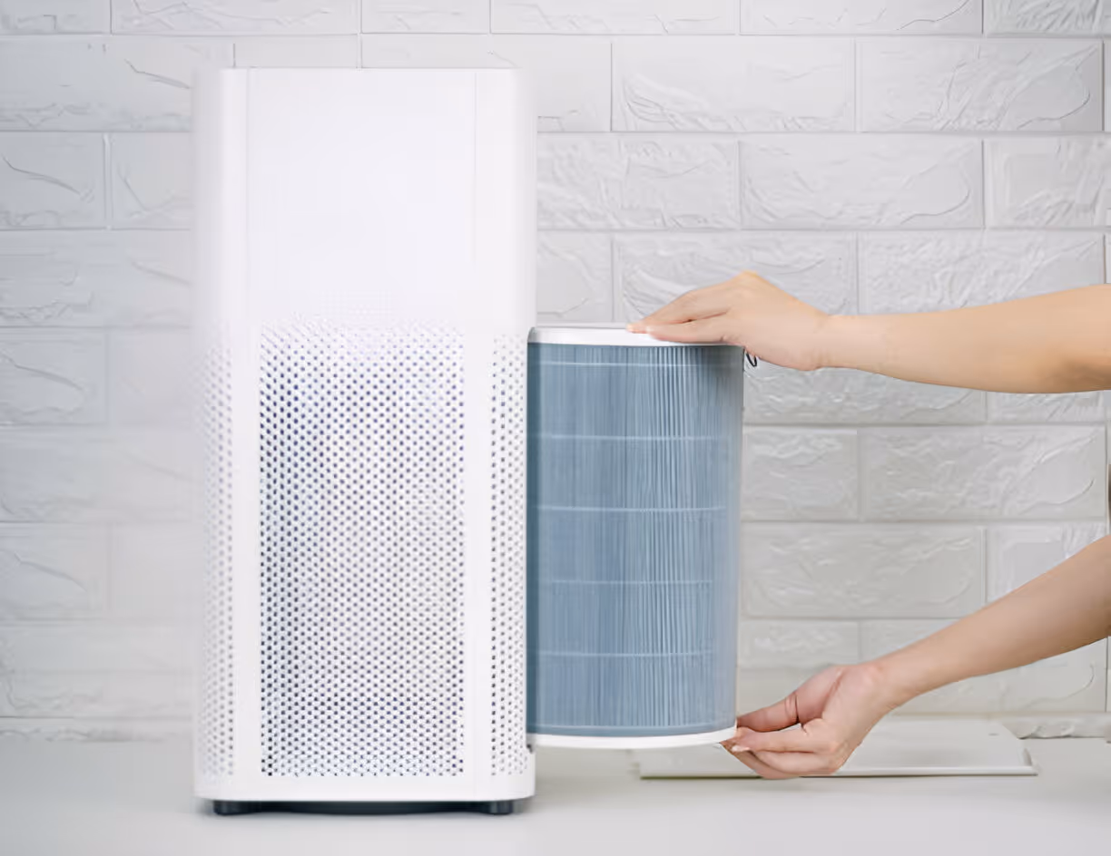 Indoor Air Quality in Walland, TN