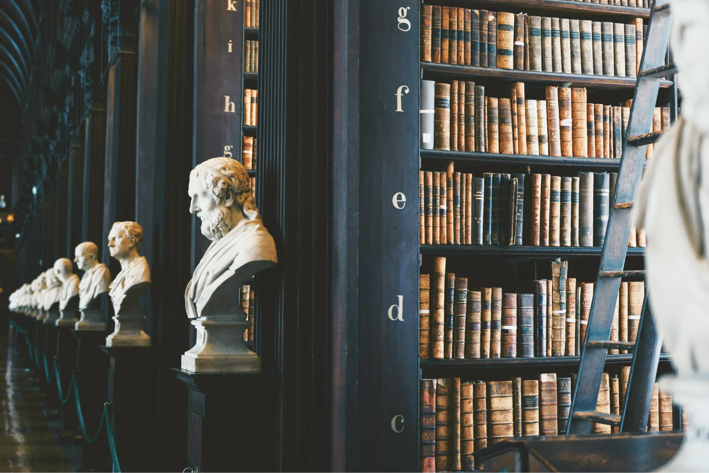 A library with old books, a wooden ladder, and marble busts of historical figures.