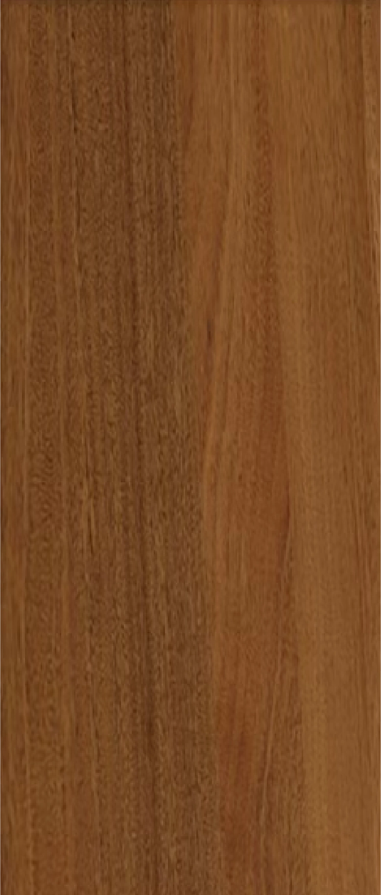 Sapele timber