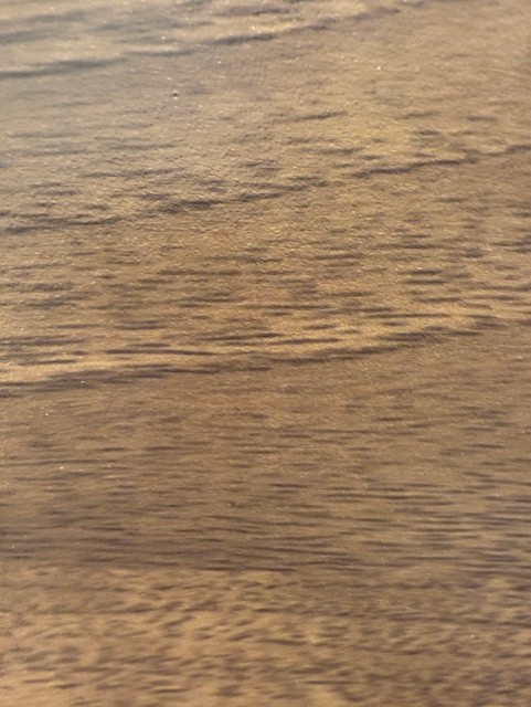 Wood armour coat finish