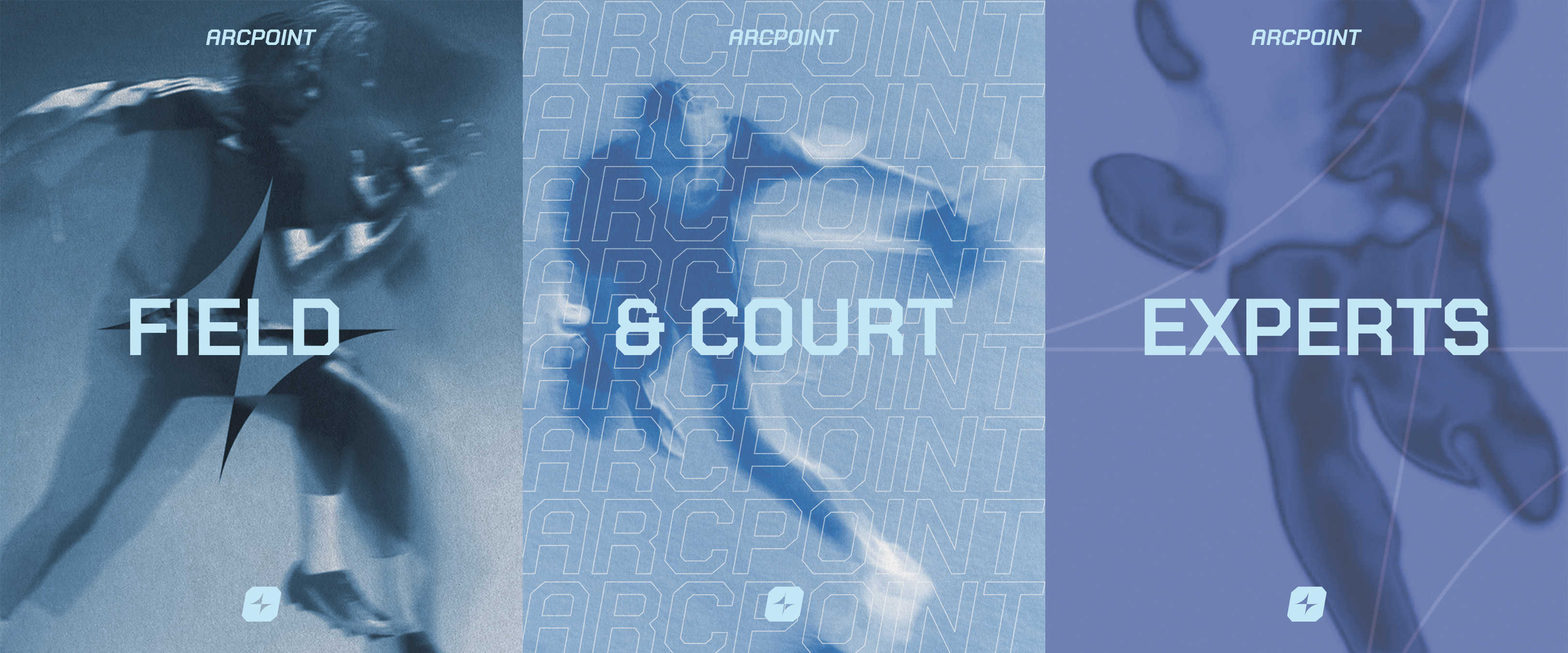 Arcpoint - Field & Court Experts