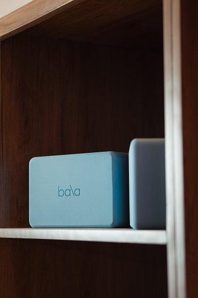 Blue rectangular Bala weighted block and a gray block on a wooden shelf.