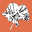 coquelicots.co favicon