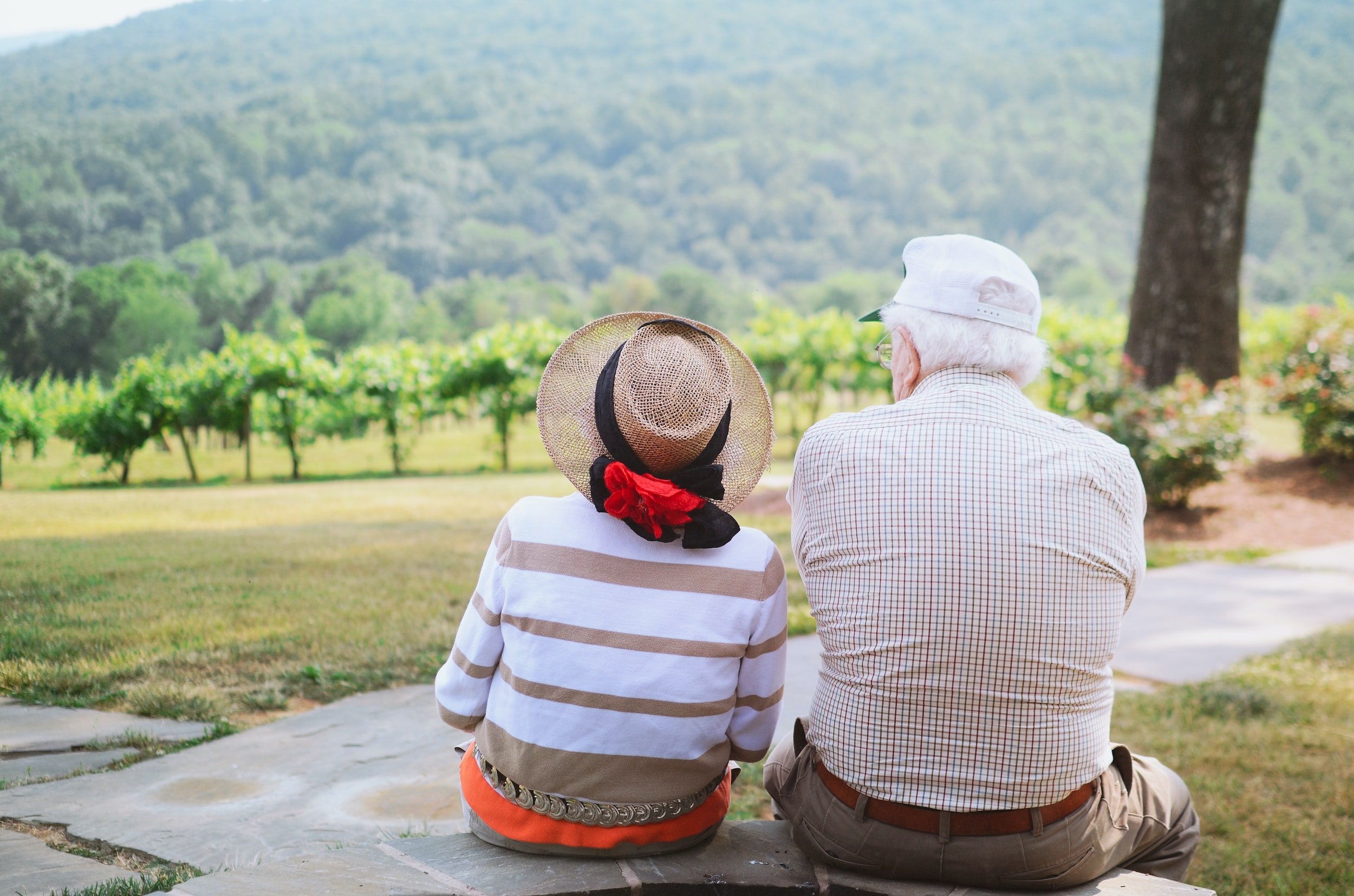 Elderly couple sitting on a stone bench, facing a vineyard with a tree and hills in the background.