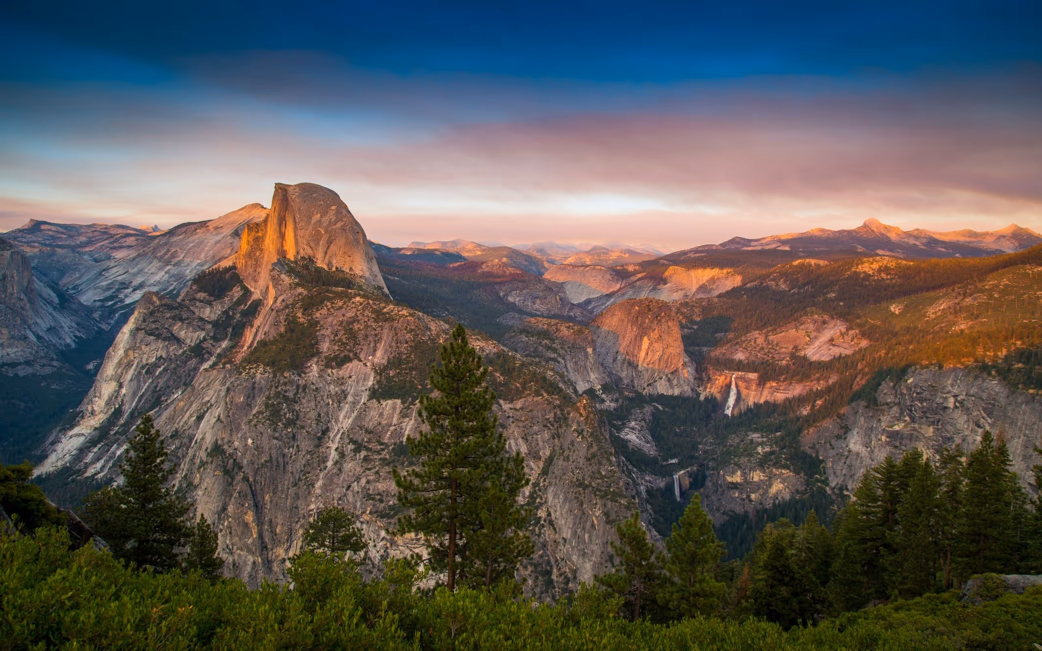 A California veterinarian providing compassionate care to a pet