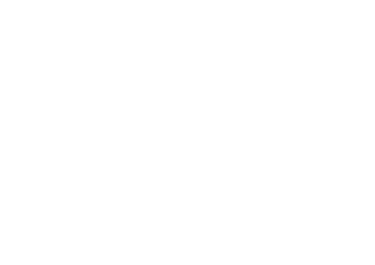 Global Artivism