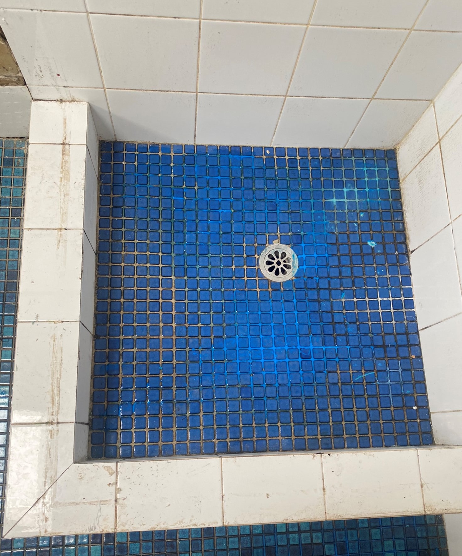 Close-up of a shower floor with small blue square tiles and a circular metal drain in the center, surrounded by white tiles on the wall and edge.