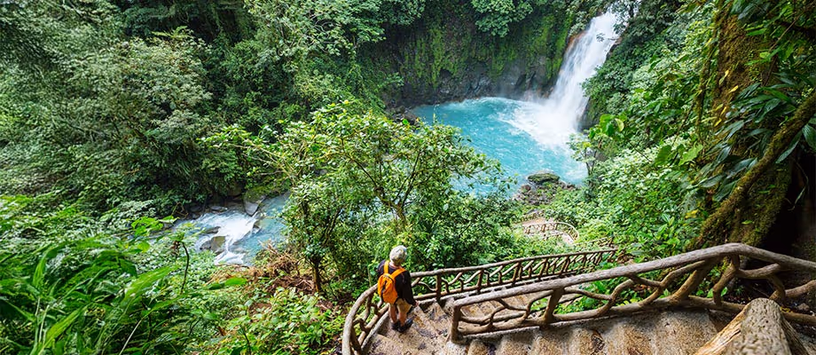 Travel Leaders Image