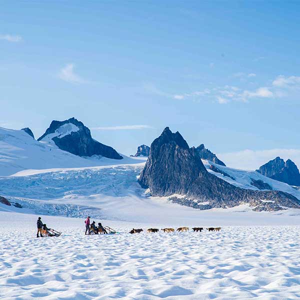 Travel Leaders Image