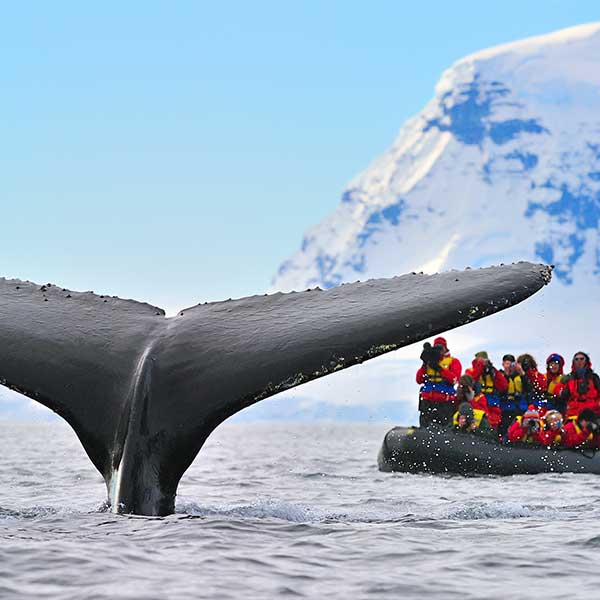 Travel Leaders Image