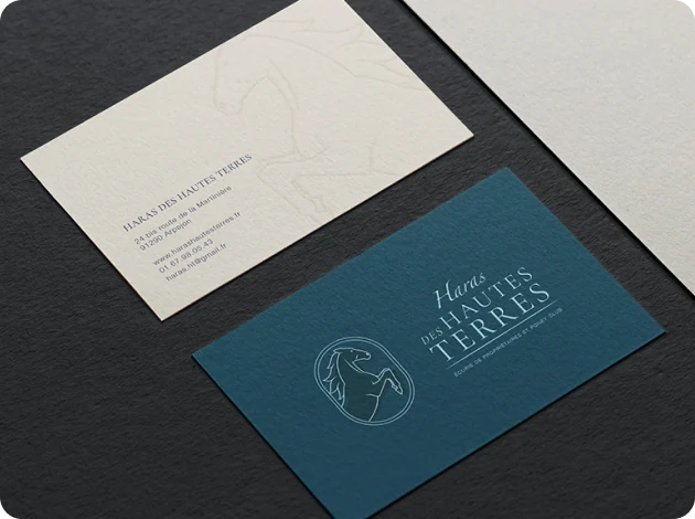 Deux cartes de visite pour Haras des Hautes Terres, une avec un fond bleu et un logo de cheval, l'autre avec les coordonnées sur fond blanc avec un dessin discret de cheval.