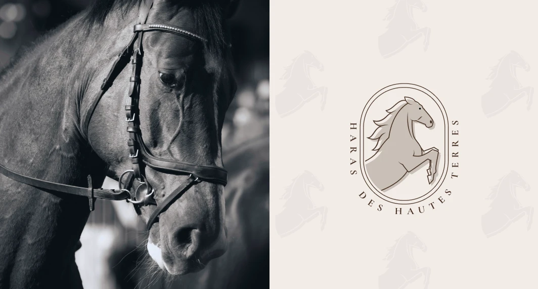 Profil en gros plan d’un cheval portant un bridon à gauche, et logo stylisé d’un cheval cabré avec le texte « Haras des Hautes Terres » à droite.
