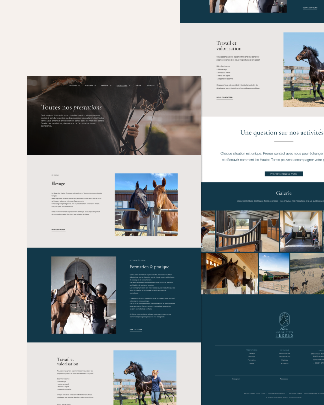 Page web présentant des sections sur l’élevage, la formation et la pratique équestres, avec des photos de chevaux et d’interactions humaines, accompagnées d’une galerie d’images de chevaux et des installations équestres.