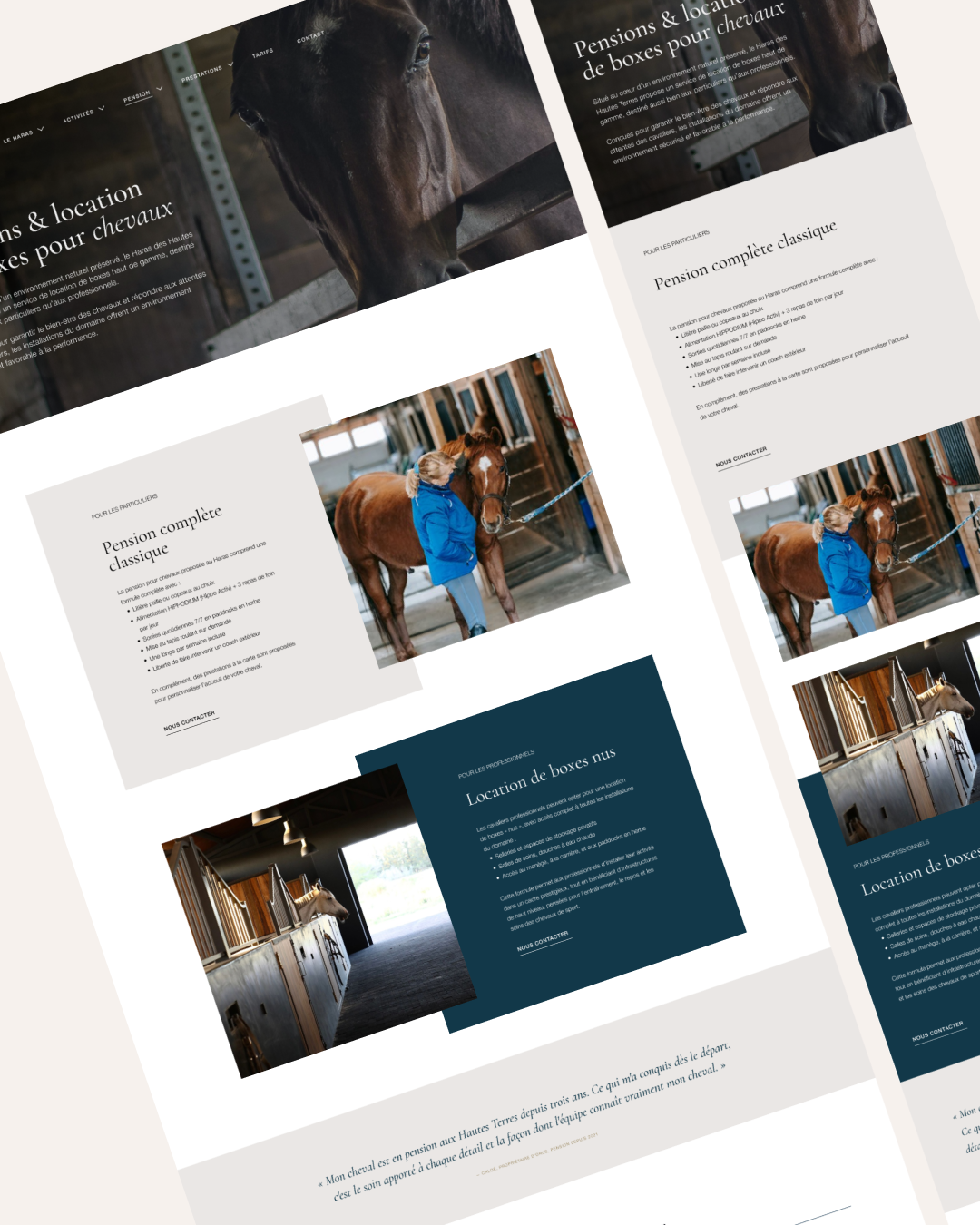 Capture d'écran d'une page web présentant des pensions et locations de boxes pour chevaux avec des images d'un cheval brun et une personne en veste bleue à l'écurie.