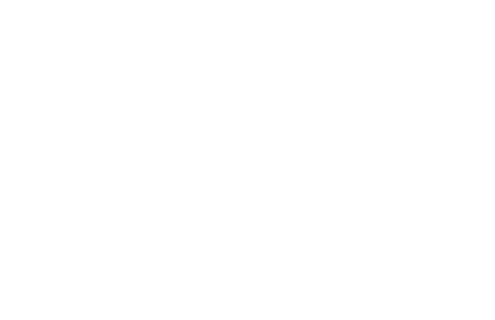 Logo Vizburg