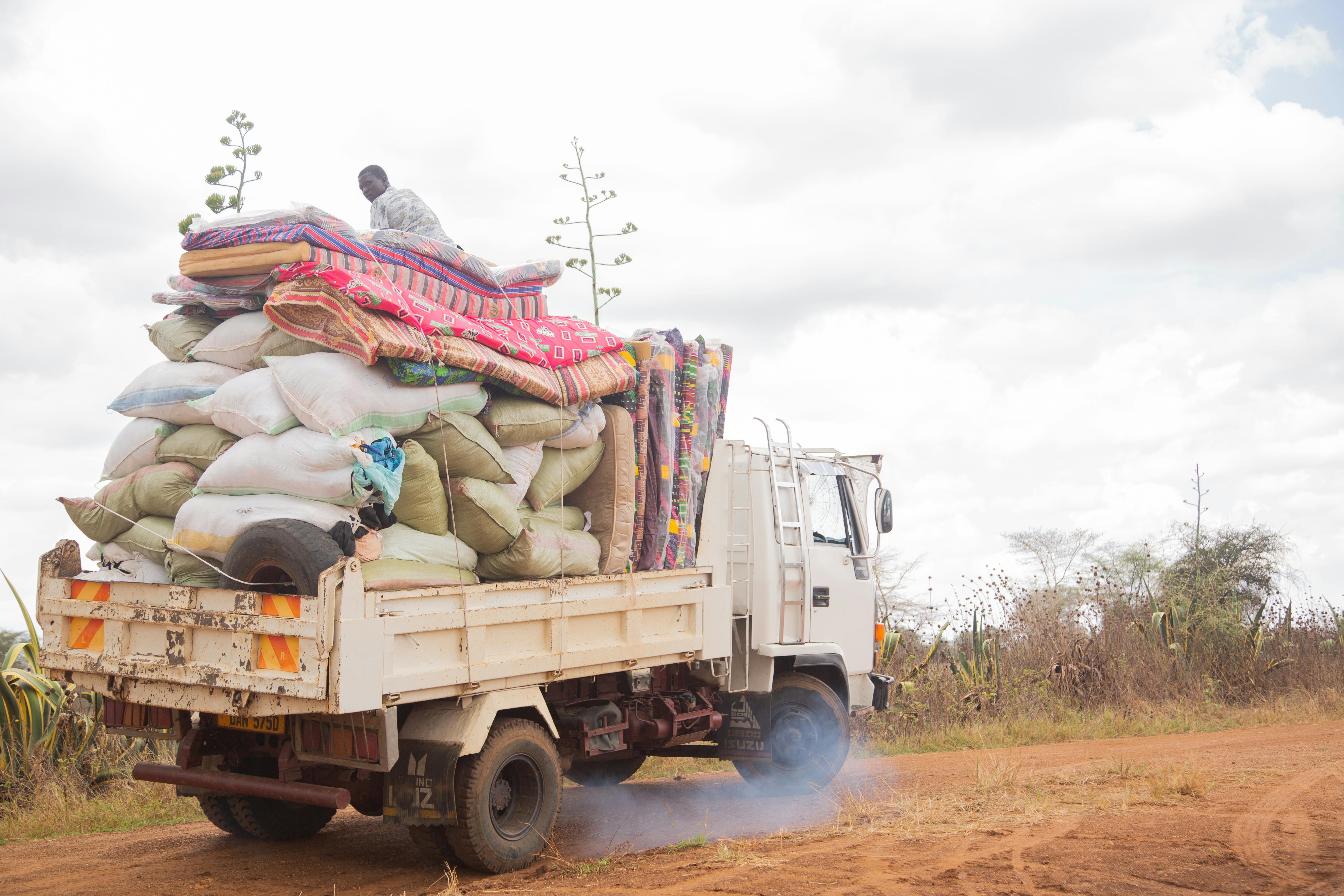 Duotint Pro Project Thumbnail