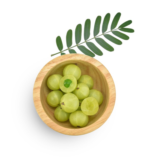 fresh-indian-gooseberry-amla-benefits-dental-blog