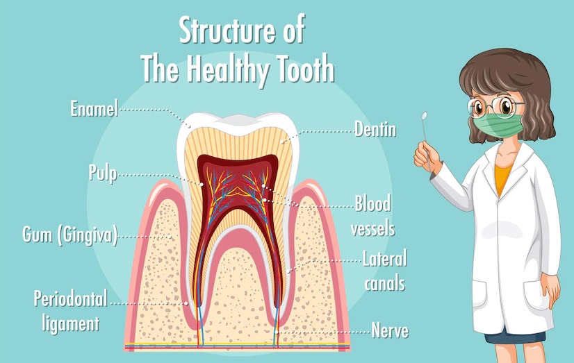 Yellow-reflection-of-dentine-after-enamel-layer-is-exposed