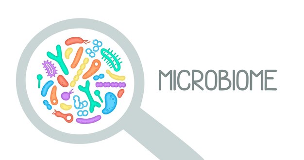 microorganisms are present in probiotics