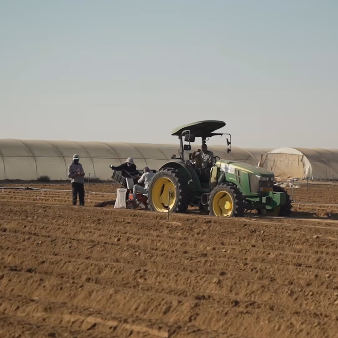 Tractor harvesting potatoes in a field, demonstrating the scalability of molecular farming.