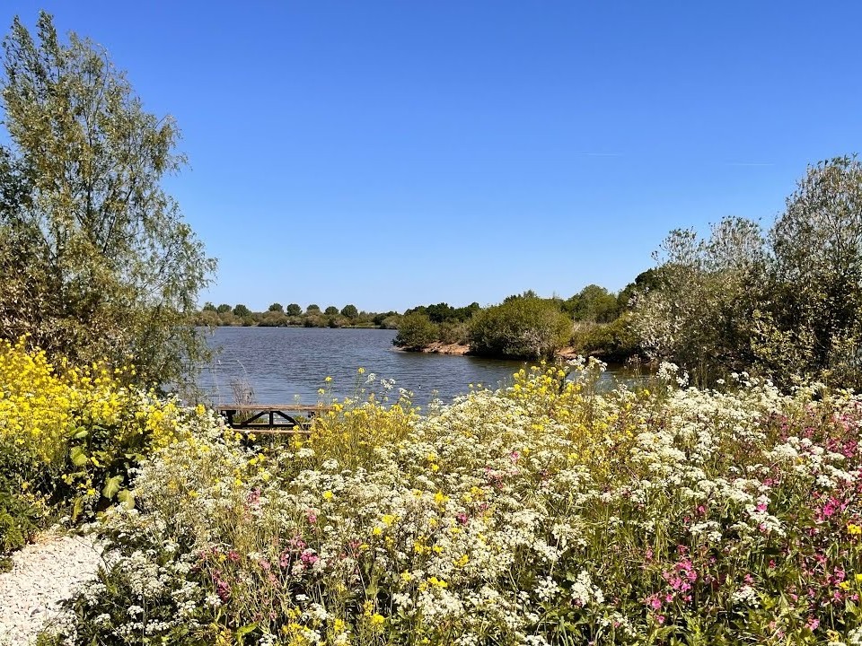 A lake at Croxall Lakes