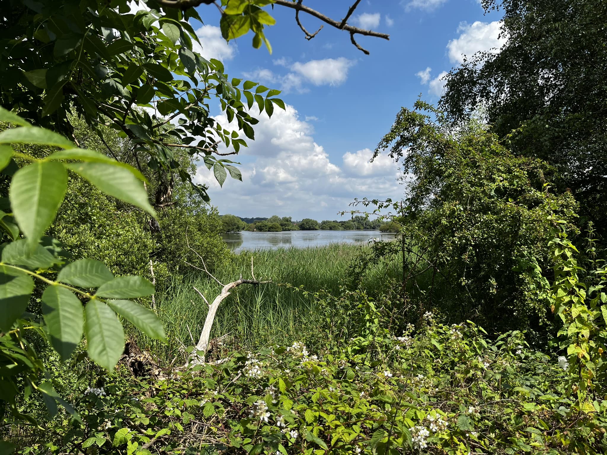 A lake at Branston Water Park