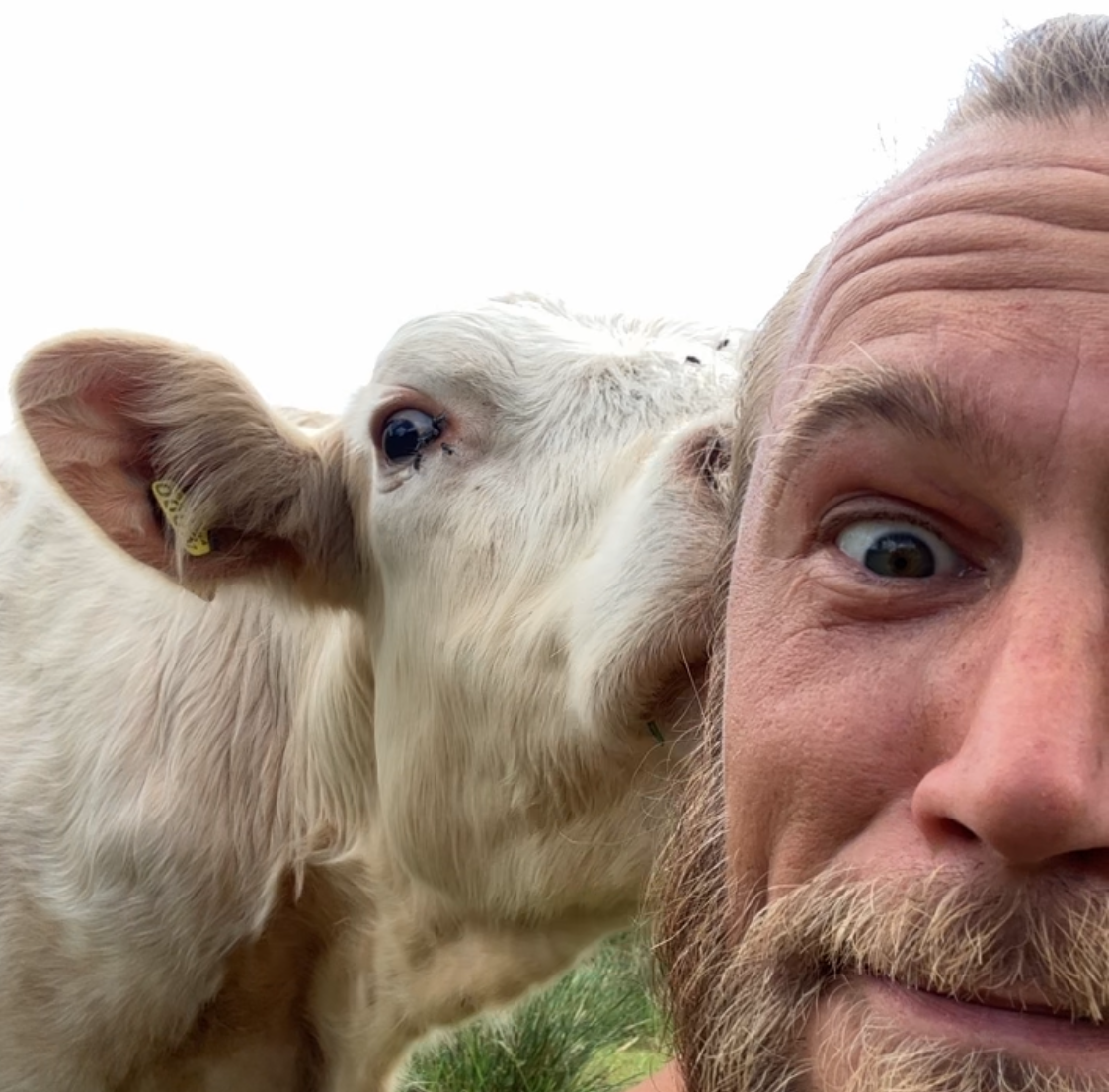 image of busy office with team collaborating (for a fintech company)