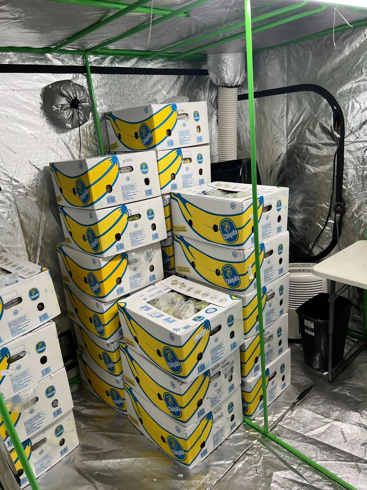 Crafty's banana tent in the carolstream warehouse